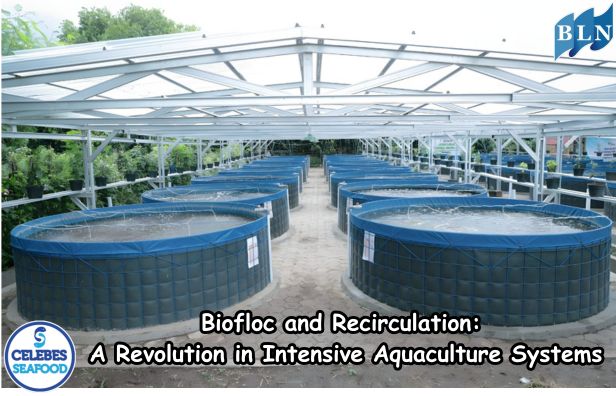 Biofloc and Recirculation: A Revolution in Intensive Aquaculture Systems